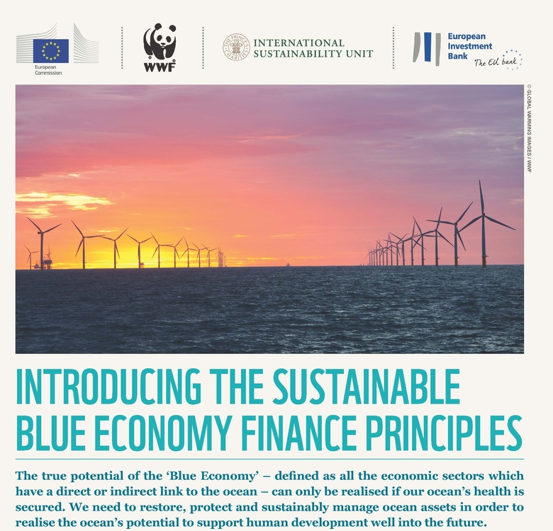 Introducing sustainable blue economy finance principles en Page 1