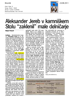 Aleksander_Jereb_v_kamni_kem_Stolu_zaklenil_male_delni_arje