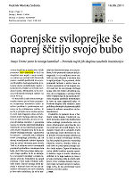 Gorenjske_sviloprejke_e_naprej_itijo_svojo_bubo