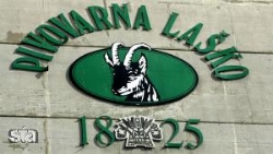 pivovarna lasko