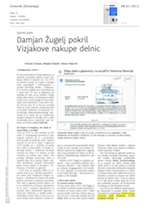 Damjan Žugelj_pokril_Vizjakove_nakupe_delnic
