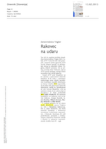 Rakovec na_udaru