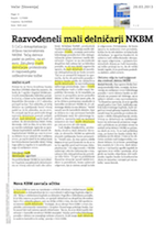 Razvodeneli mali_delničarji_NKBM