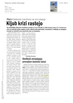 Kijub kritzi_rastejo
