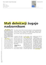 Mali delničarji_žugajo_nadzornikom