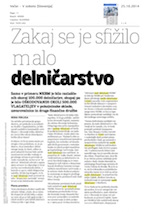 Zakaj se_je_sfižilo_delničarstvo