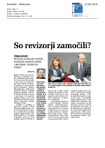So_revizorji_zamo_ili_
