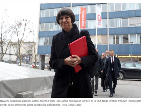 DNEVNIK PETROL 20122022
